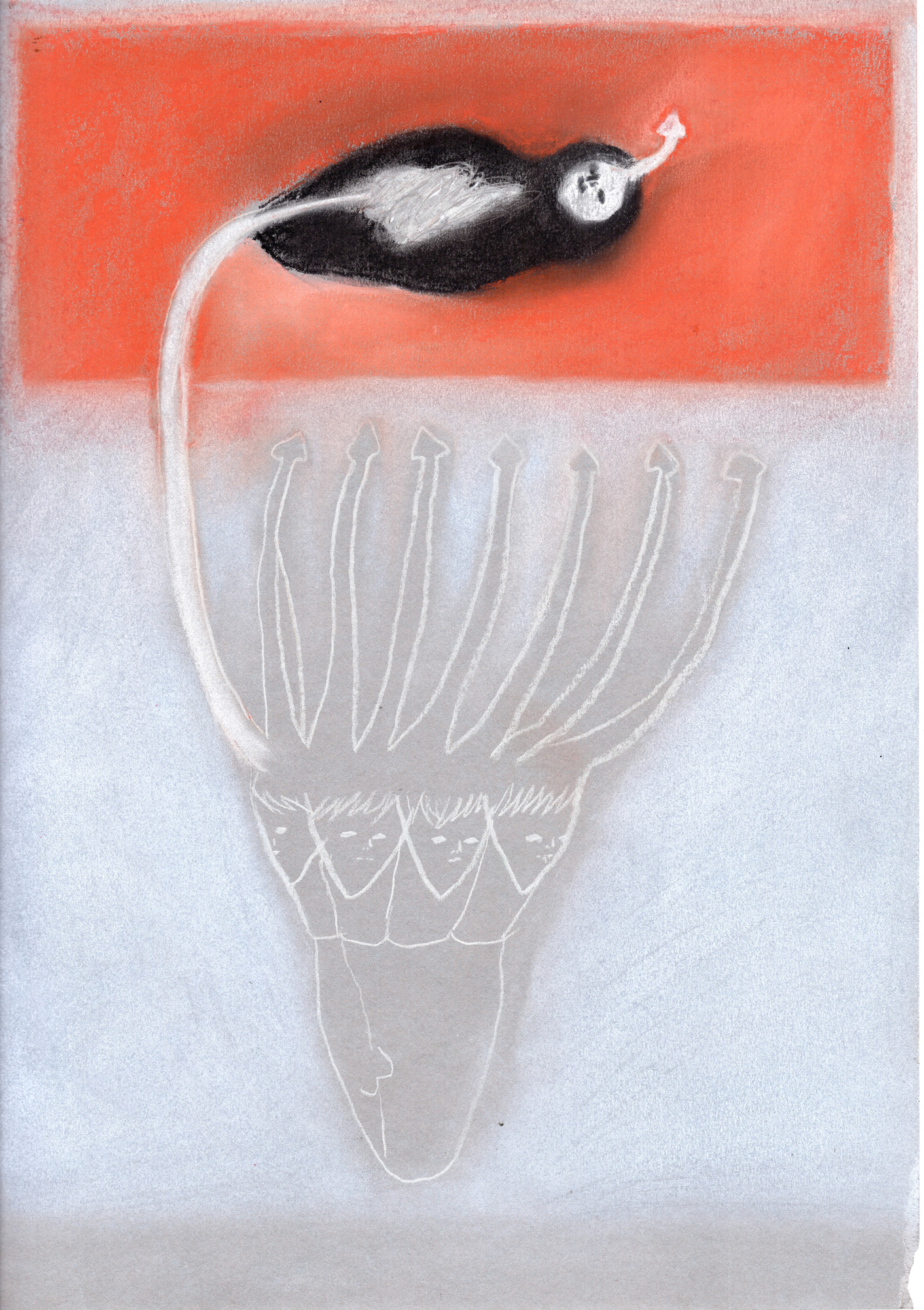 HaYoung_drawing 2026